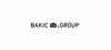 Bakic Production GmbH