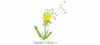 Kinderhaus Pusteblume e.V.
