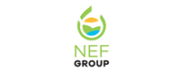 NEF Förderungs GmbH