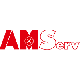 AMServ Süd GmbH & Co. KG