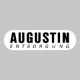 Theo Augustin Städtereinigung GmbH & Co. KG
