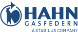 Hahn Gasfedern GmbH