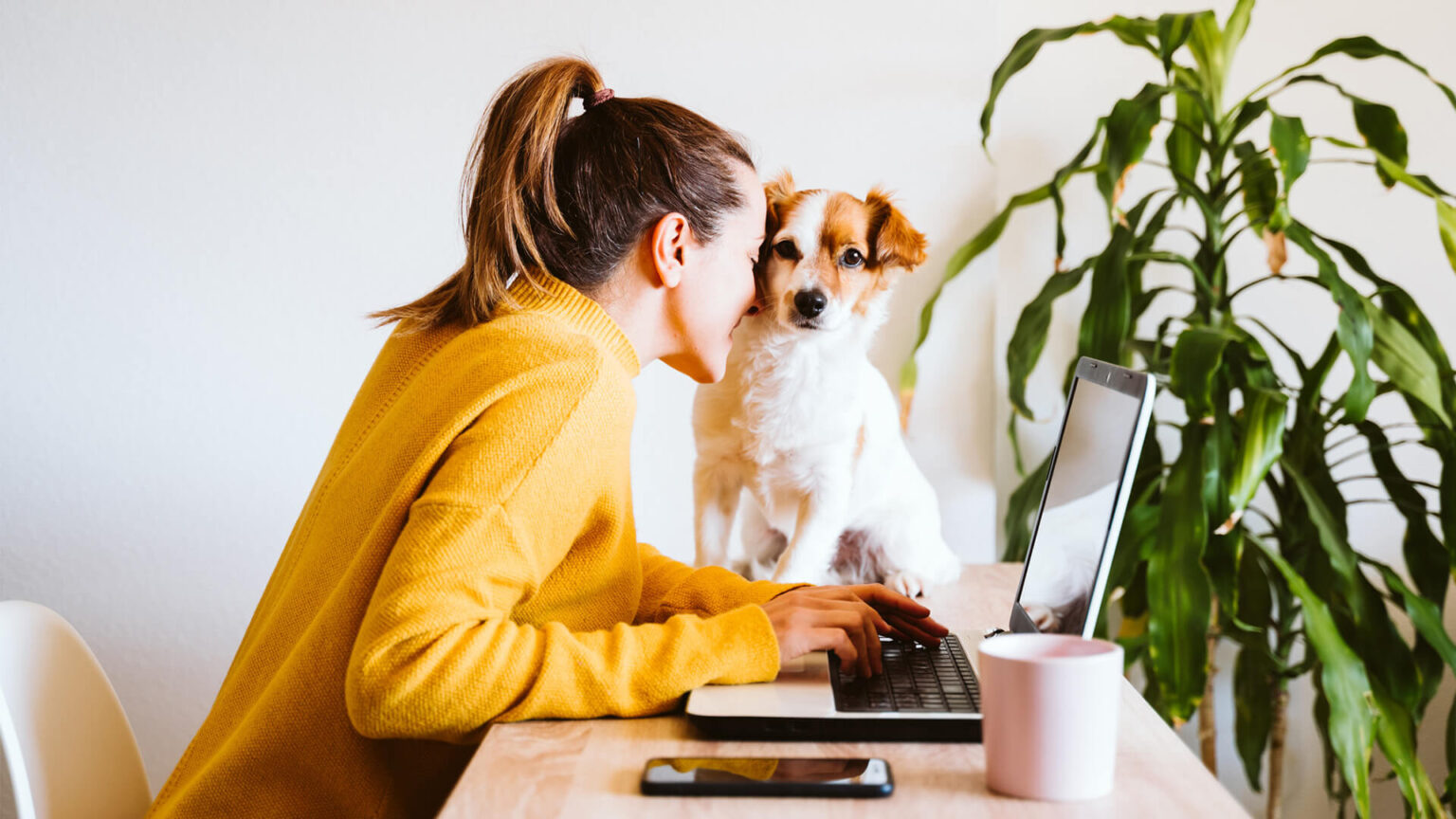 beste Voraussetzungen für Arbeitnehmer im Home Office schaffen