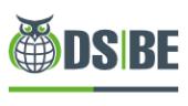Logo DSBE GmbH