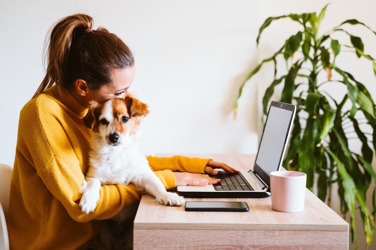 Home Office Jobs Für Quereinsteiger