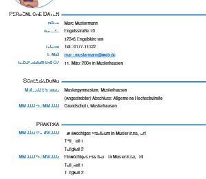 Ausbildung: Lebenslauf für Schüler