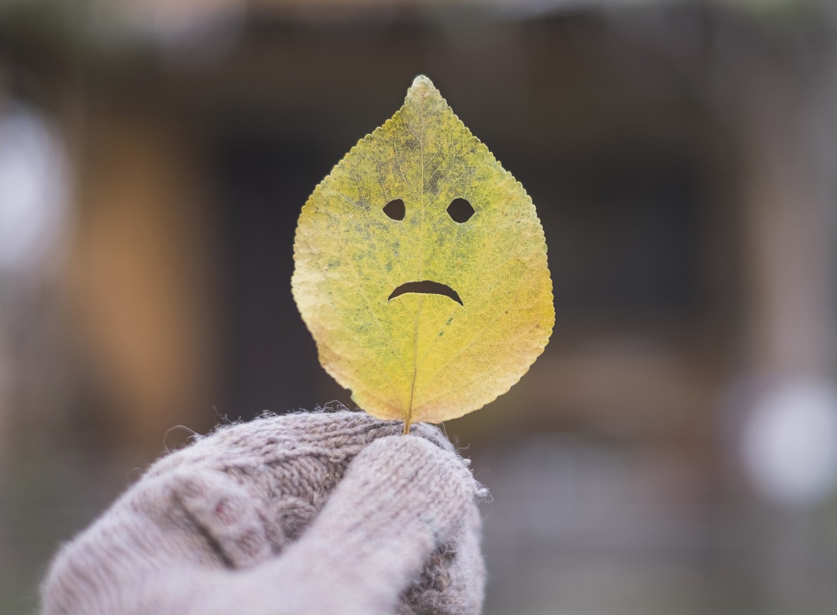 Herbst Depression