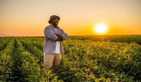 Ein zufriedener, lächelnder Landwirt auf dem Feld bei Sonnenuntergang