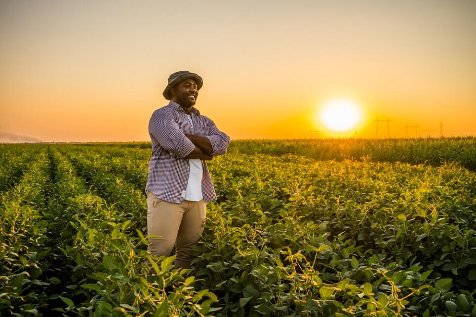 Ein zufriedener, lächelnder Landwirt auf dem Feld bei Sonnenuntergang