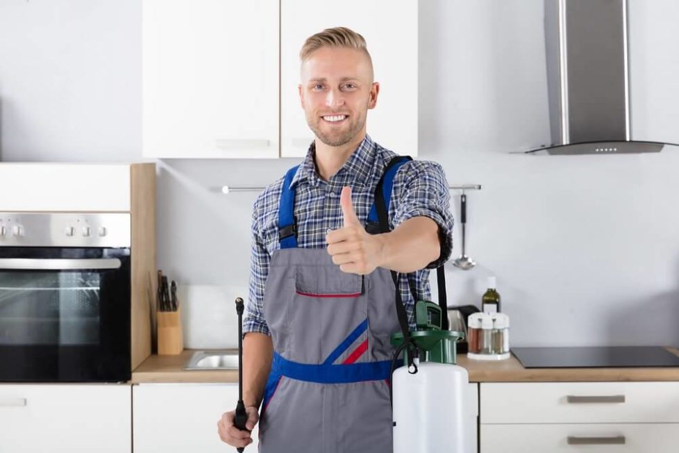 Ein glücklicher Schädlingsbekämpfer zeigt Daumen nach oben in einer Küche
