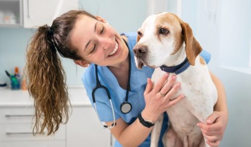 Eine lächelnde, angehende Tiermedizinische Fachangestellte streichelt einen Hund in ihrer Ausbildung