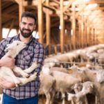 Ein angehender Tierwirt hält ein Baby-Schaf in den Armen während der Ausbildung
