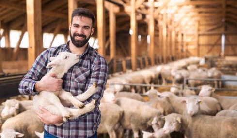 Ein angehender Tierwirt hält ein Baby-Schaf in den Armen während der Ausbildung