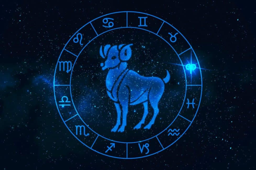 Widder Karriere Horoskop 2024