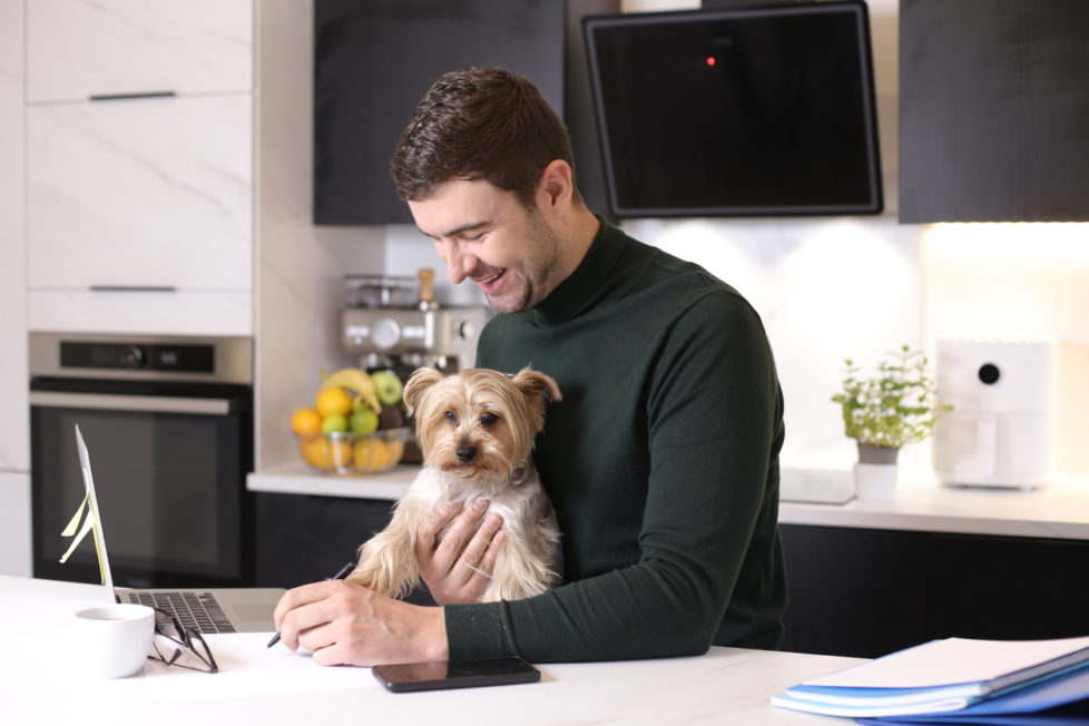 Selbstständiger Hochsensibler im Homeoffice mit Hund