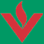 Logo - volkssolidaritaet