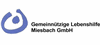 Gemeinnuetzige Lebenshilfe Miesbach GmbH Gemeinnuetzige Lebenshilfe Miesbach GmbH